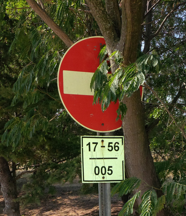 Figure 27. Occluded sign. Trimming foliage will improve the visibility of this sign.