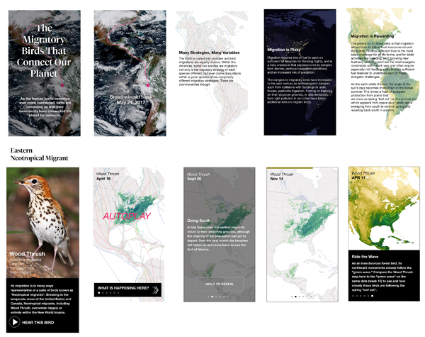 Mockups showing some screens of a mobile layout.
