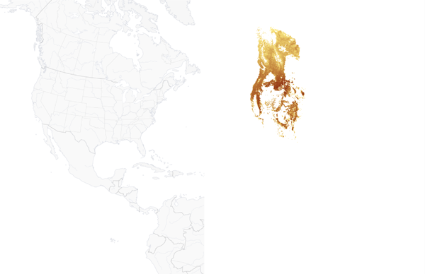 Left: The basemap for the Western Tanager. Right: A composite of all Western Tanager files in one image, helpful for previewing the needed extent.
