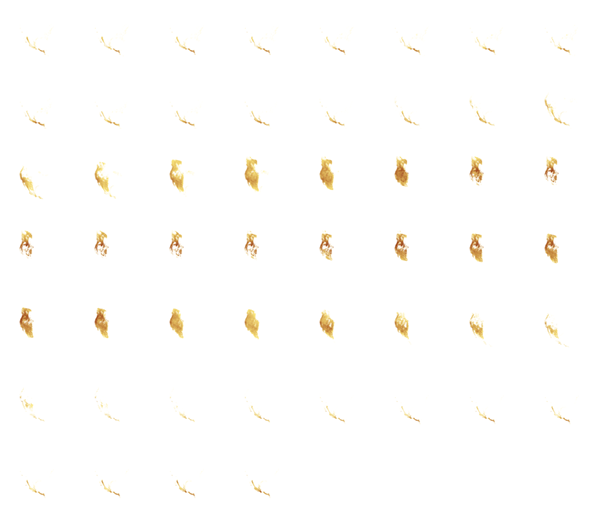 52 reprojected, colored images. Compare the shapes in each frame to the previous grid. Reprojection warps the data such that the west coast of North America begins to assume a familiar shape.