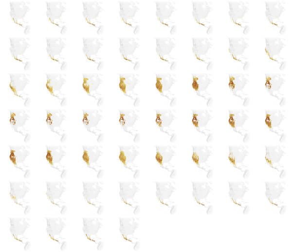 52 weeks of data, composited on to a common base, with a vignette effect on the edges of each.