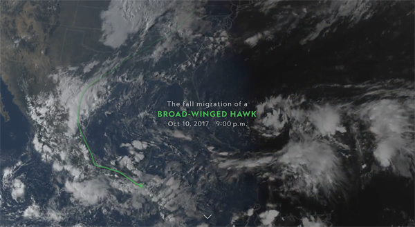 Patty’s filtered GPS recordings generalized into a line overlaid on GOES-16 imagery.