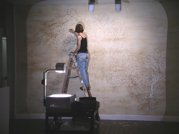 Haw River Drawing, 2005. 10ft × 15ft, ground rock, river water. Temporary installation at Alcott Gallery, UNC Chapel Hill.