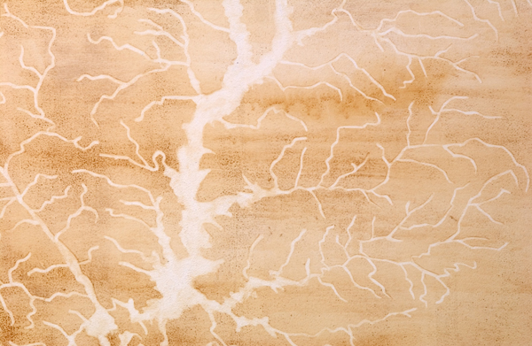 Haw River Drawing, detail.