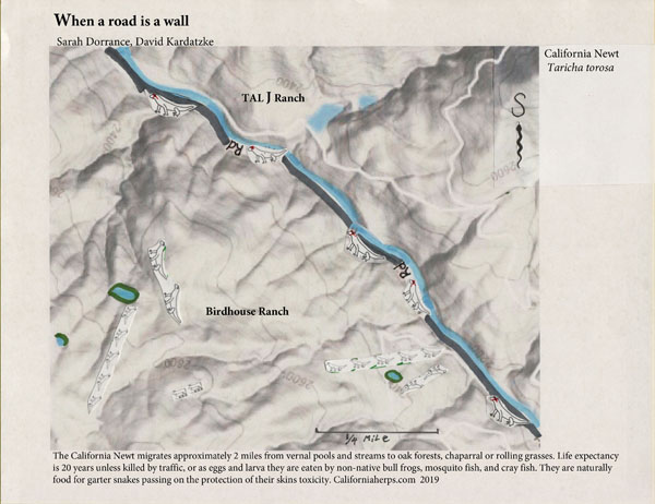 When a Road is a Wall.