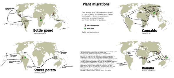 Plant Migrations.
