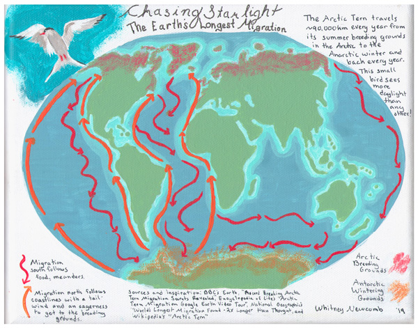 Chasing Starlight: The Earth’s Longest Migration.