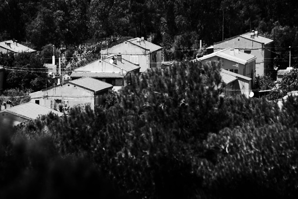 Figure 2. Rosmarino District.