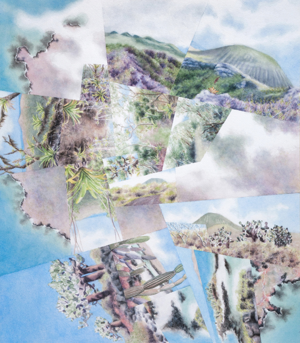 Floreana (2019), inspired by Floreana Island in the Galápagos. Watercolor on paper, 24″×21″.