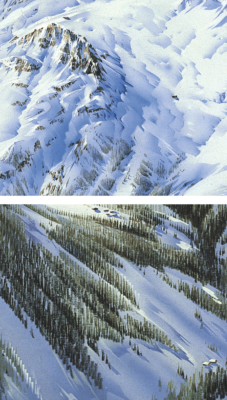 Figure 14. Novat used fine-scale cast shadows inside attached shadows of larger features. They improve the contrast of already shadowed areas, thus revealing masked terrain features. Close-ups of (top) Espace Killy, Pierre Novat, 1983 and (bottom) Courchevel, Pierre Novat, 1984.