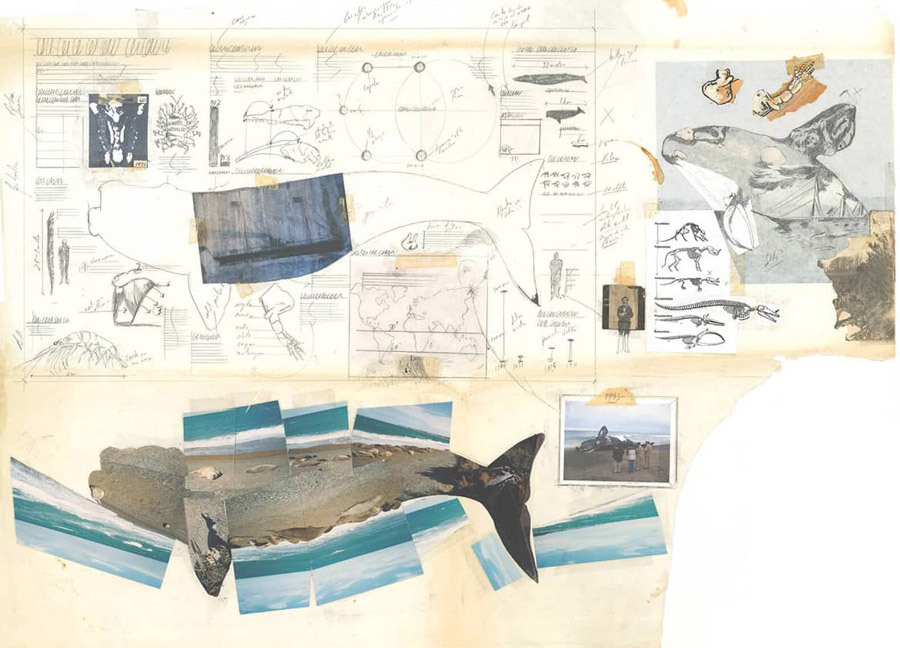 Figure 1. In progress work from Jaime Serra’s infographic, La ballena Franca (“The Southern Right Whale”). This particular image can be seen on Serra’s blog, and is featured on page 52 of The Art of Insight.