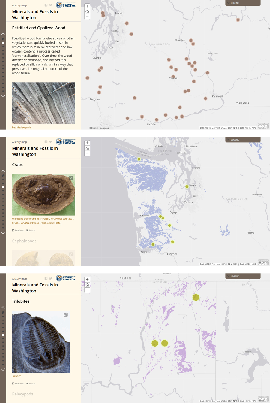 Figure 2. Selected maps in the 2016 WGS Minerals and Fossils in Washington StoryMap. The points on these maps were derived from the Gems and Minerals of Washington map (Figure 1).
