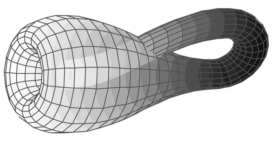 Figure 3. The Klein bottle: first described in 1882 by the mathematician Felix Klein. Source: Wikipedia user Tttrung.