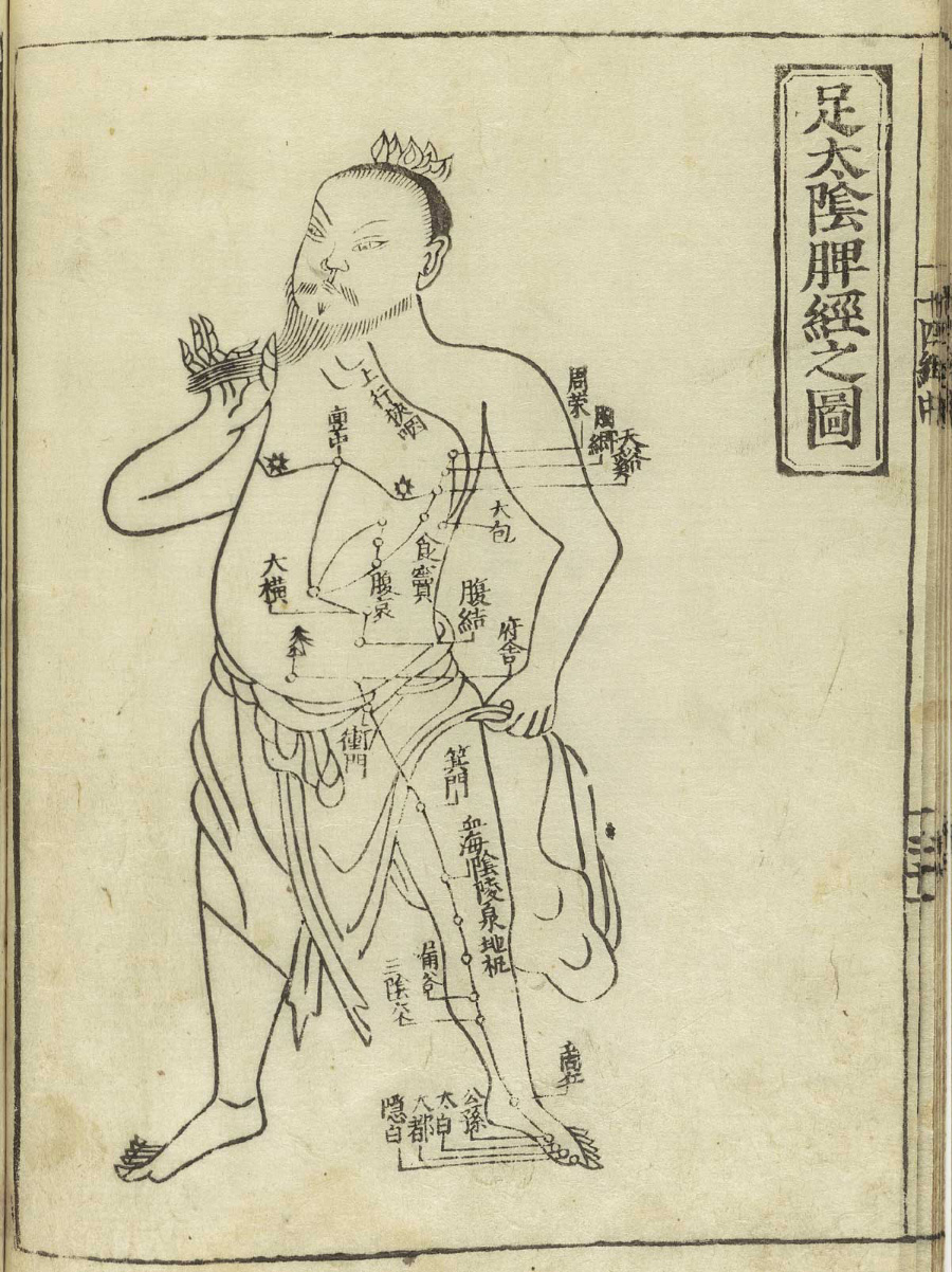 Figure 1. A tu of a human figure (described as “meridian man” by Li). This tu illustrates a particular yin meridian (足太阴脾经) connected to an internal organ, the spleen. This tu was retrieved from Historical Anatomies on the Web.