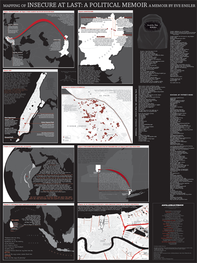 2011 competition winner: Mapping of Insecure at Last: A Political Memoir