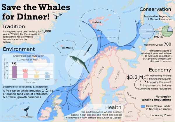Figure 10: This map was created for a project testing the impact of persuasive map design (Windsor and Muehlenhaus 2013). The map is pro-Norwegian whale hunting. The goal was to create a map that made map viewers explicitly, and preferably implicitly, decide that Norway’s whale hunting was probably ethical and not bad for the environment. Map created by Mary Windsor, University of South Carolina, who, for the record, does not condone whale hunting.