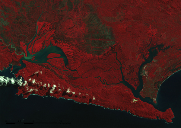 Figure 8. Section of a Landsat image depicting the Segara Anakan lagoon in 1993. Landsat TM, resolution: 30m,
date of acquisition: 23.05.1993. Retrieved from BTIC Dataport, Indonesia.