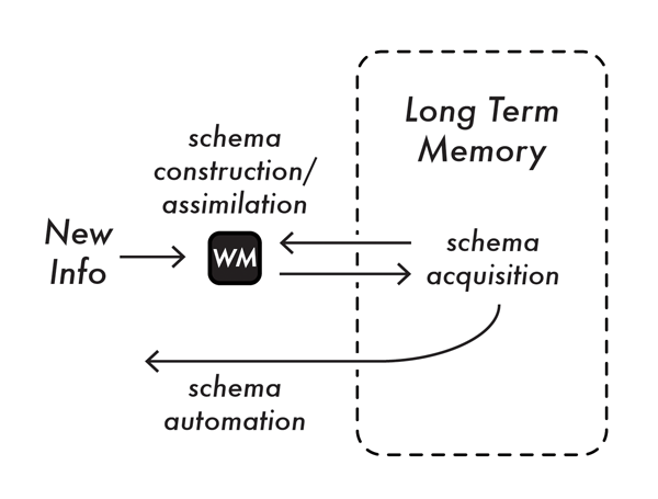 Figure 1. Cognitive Load Theory assumes a model of learning based on schema construction in Working Memory (WM), schema acquisition in Long Term Memory, and schema automation from Long Term Memory.