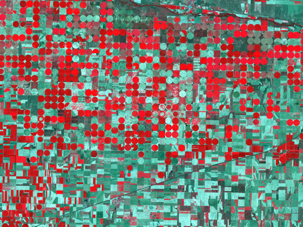 Figure 2. Excerpt from a color-infrared image captured in 1988 by Landsat 5.