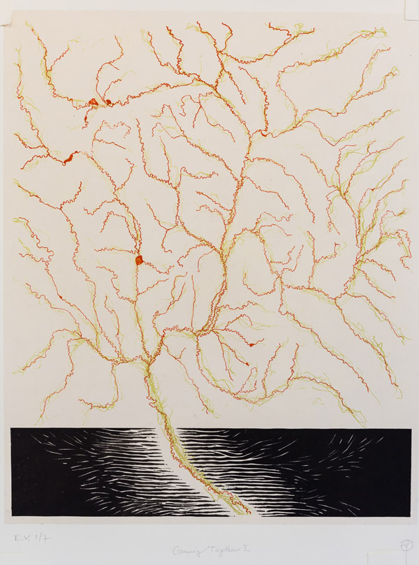A map that appears hand drawn. Orange-red and green-yellow lines are drawn in the form of a dendritic network, such as a series of streams. Near the bottom, the background contains black lines that, on the outer edge of each side, grow so dense as to become a solid black fill. In the center-bottom, there is a gap in the black lines through which passes the network of orange-red and green-yellow lines. Photo by Charles P. Rader.