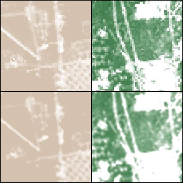 Figure 6. Percent impervious surface (left) and percent canopy coverage (right) rasters before (top, 30 m cells) and after (bottom, 2 m cells) resampling and thresholding.