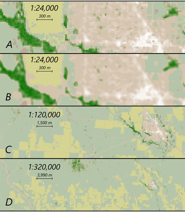 Figure 12. Multi-scale land cover products.