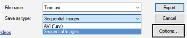 Figure 14. The ArcGIS Time Slider Export Video window, and the Options button for further customization.