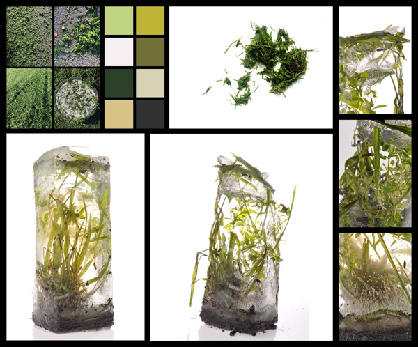 Figure 5. August collections and colour palettes.