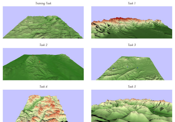 Figure 6. Terrain models used as stimuli in Pilot Test 1.