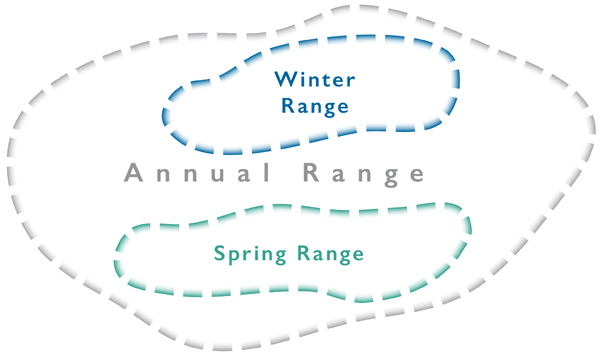 Figure 10. Range styles.