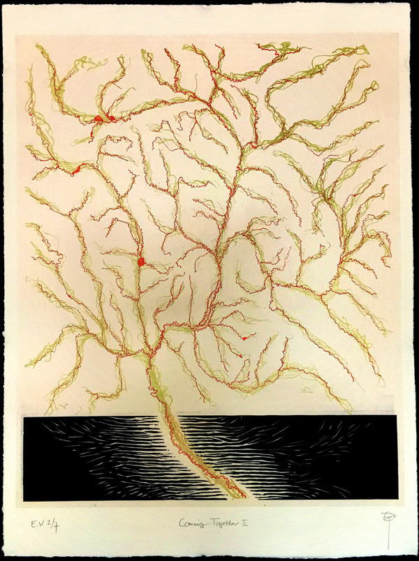 Coming Together I (Three Forks of the Missouri, Montana), 41 by 30 in. Lithograph, Flocking, Blind embossing, Relief, Chine-collé on Kozo mounted on Arches, 2015.